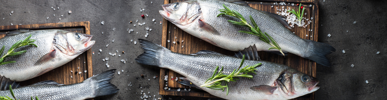 Ist Fisch gesund? Fisch, nicht nur freitags!