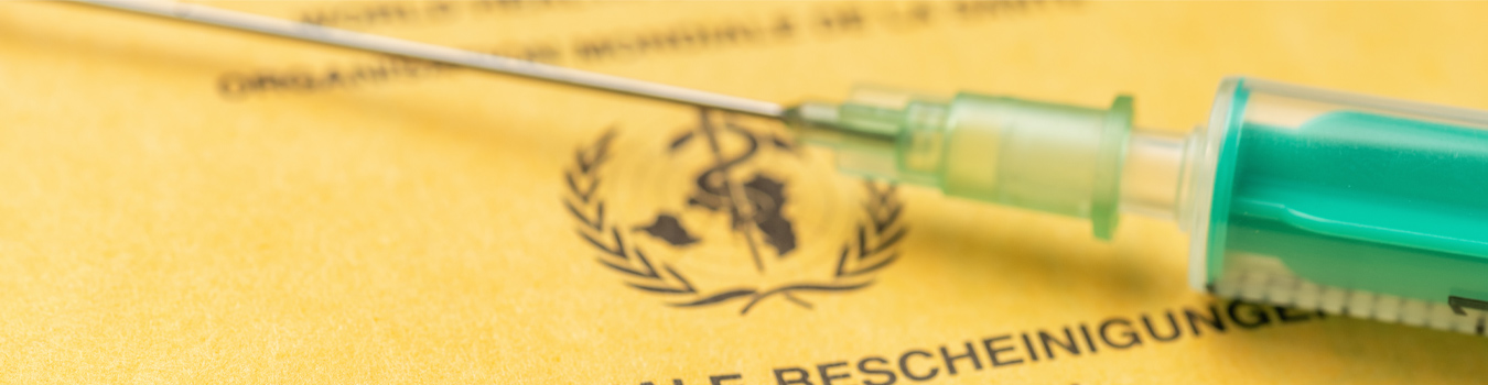 Ist die Grippeimpfung sinnvoll?