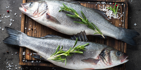 Ist Fisch gesund? Fisch, nicht nur freitags!