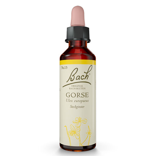 BACHBLÜTEN Gorse Tropfen 20 ml