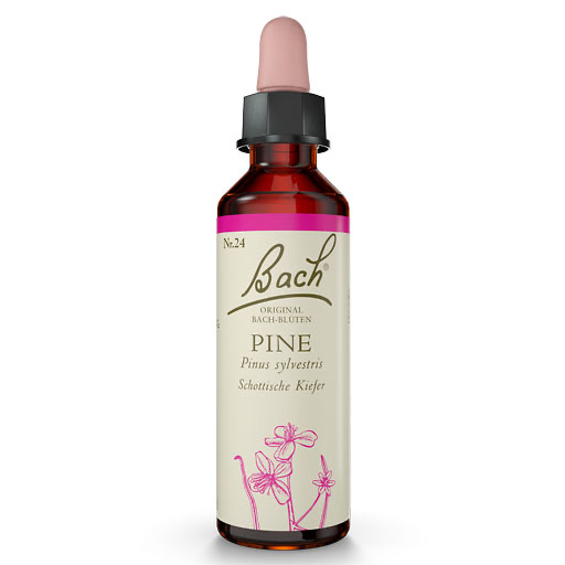 BACHBLÜTEN Pine Tropfen 20 ml