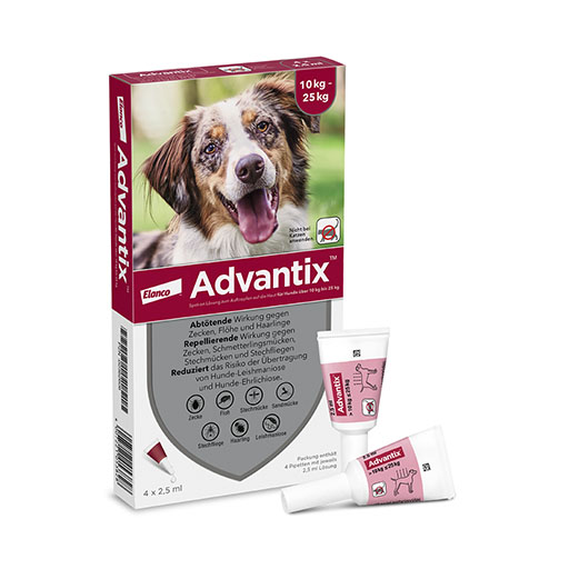 ADVANTIX Spot-on Lsg. z. Auftr. a. d. H. f. Hund 10-25 kg<sup> 6</sup>  4 St