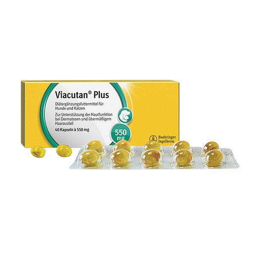 VIACUTAN Plus Kapseln vet. 40 St