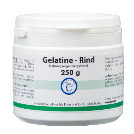 GELATINE RIND Pulver Dose 250 g