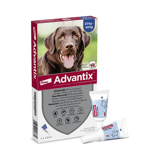 ADVANTIX Spot-on Lsg. z. Auftr. a. d. H. f. Hund 25-40 kg<sup> 6</sup>  4x4,0 ml