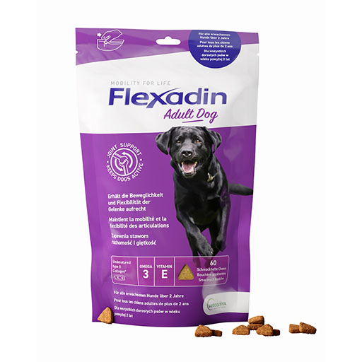FLEXADIN Adult Dog Chews Erg. Futtermitt. f. Hunde 1x60 St