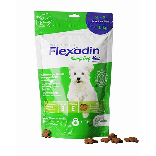FLEXADIN Young Dog Mini Chews Erg. Futterm. f. Hunde 1x60 St