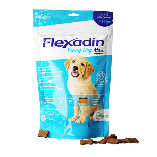 FLEXADIN Young Dog Maxi Chews Erg. Futterm. f. Hunde 1x60 St